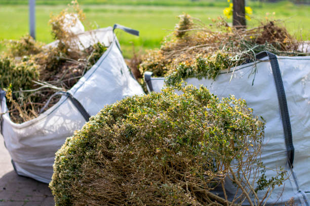 Best Yard Waste Removal  in Huber Heights, OH